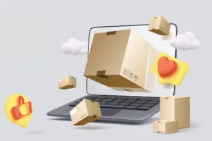 Electronics Item Courier