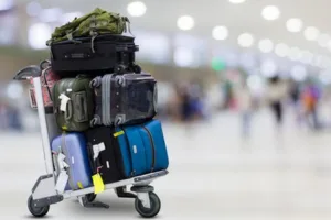 Extra Baggage Delivery